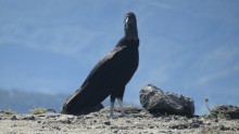 Desierto de Tatacoa