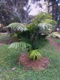 Jardín Botánico de Medellín